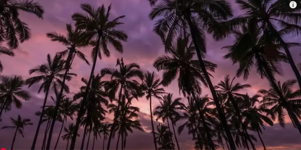 Relaxing Guitar Music